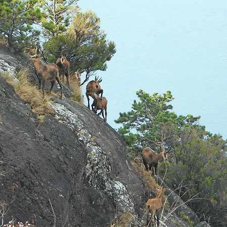 Golden 1 - Just Few Steps From The ヴィラ