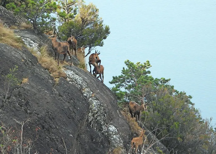 Golden 1 - Just Few Steps From The Villa